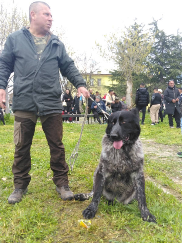 Bg Kuchevvv 2026 04 04 11 16 18 394