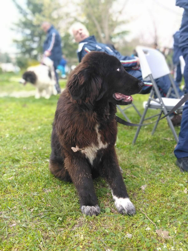 Bg Kuchevvvvv 2026 04 04 11 34 35 618