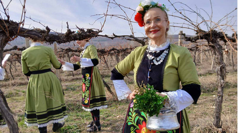 Merak Slavovitsa2025