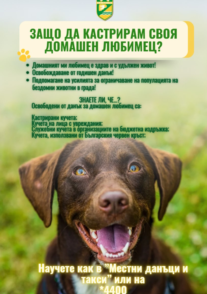 Kastracia
