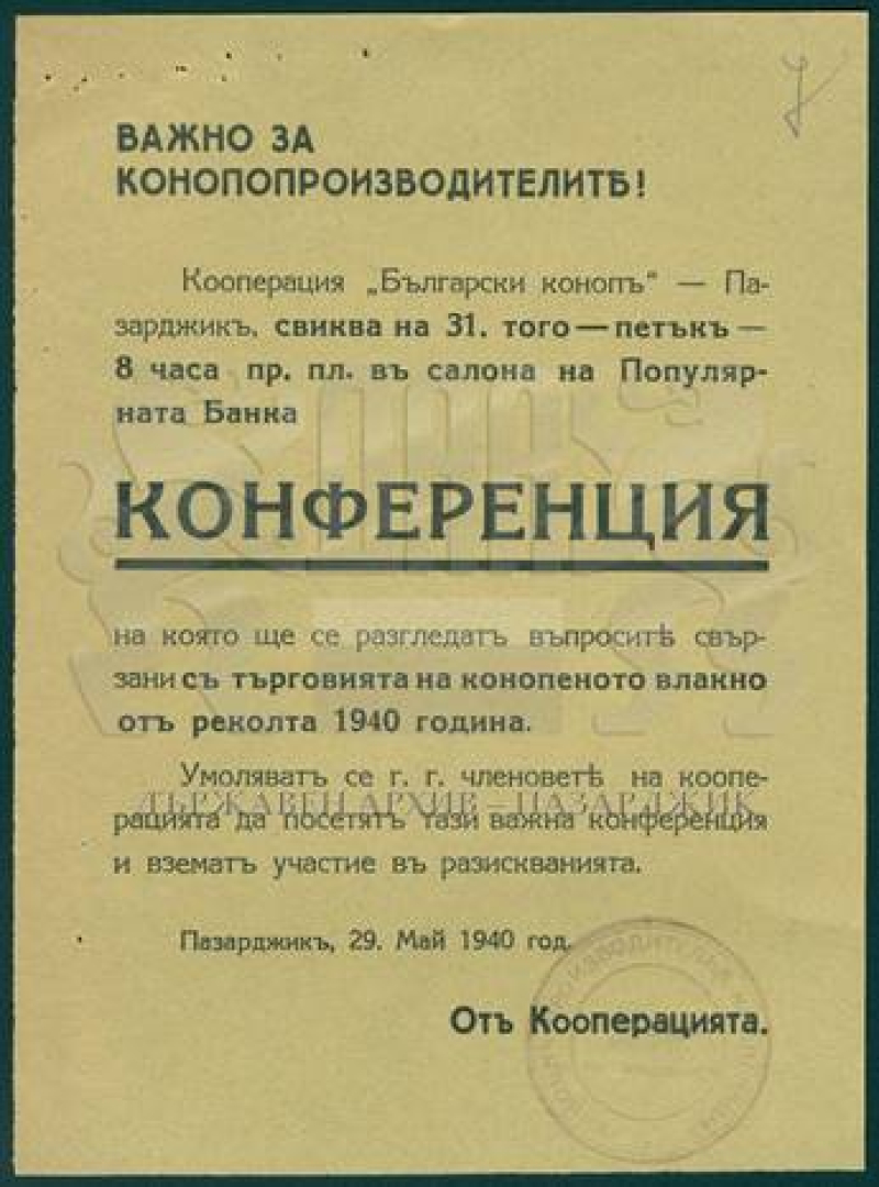 Nikola Lambrev Image003