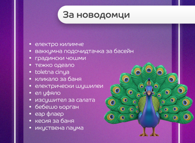 EMAG Funny Searches 2025 10