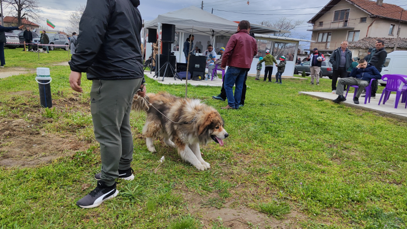 Bg Kuche 20260404 112044