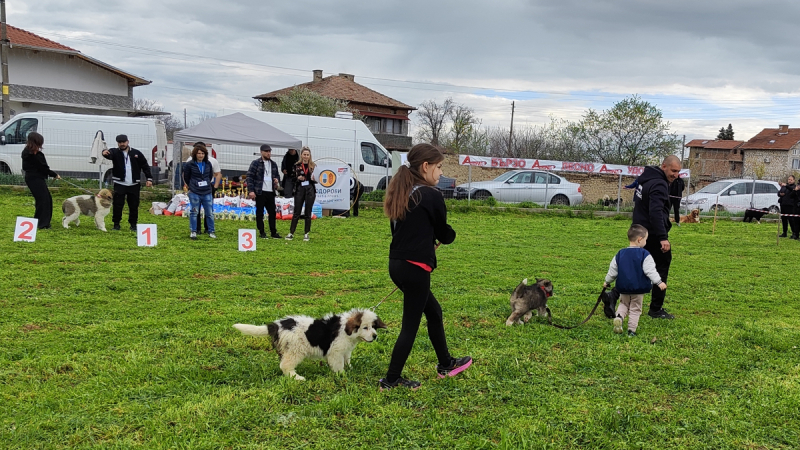 Bg Kuche 20260404 113447