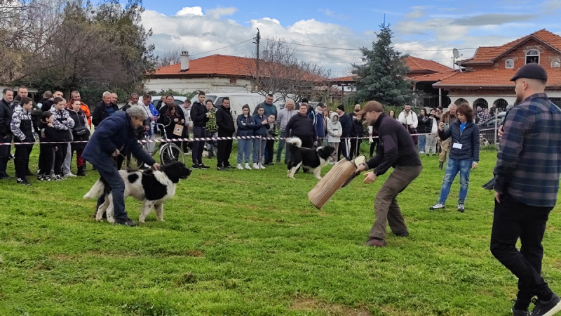 Bg Kuche 20260404 114947