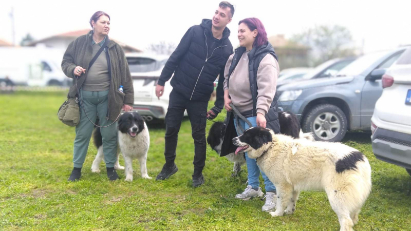 Bg Kuche 2026 04 04 11 16 15 486