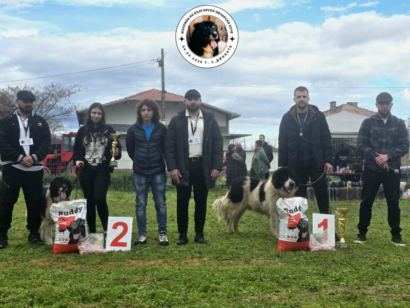 Finalist Kuche 2026 04 05 19 00 12 782