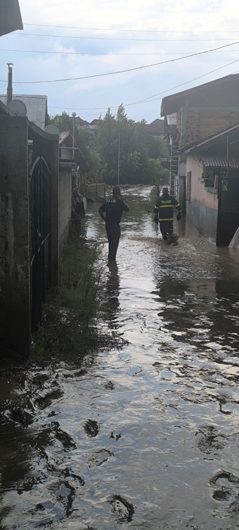 Lukovitsa 2026 08 24 18 56 38 286