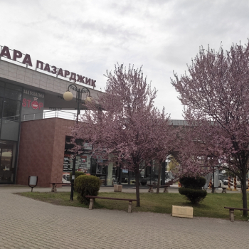 avtogarapz_20250327_100245.jpg