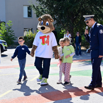 tedi20261006.jpg