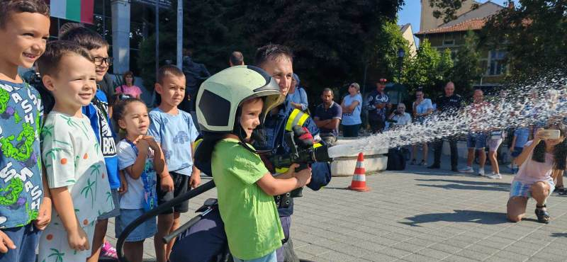 pojar_sedmitsa25_2.jpg