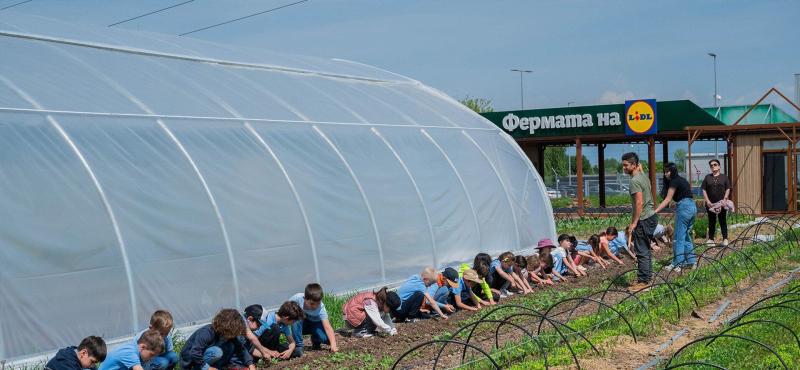 Lidl_Farm20260708.jpg