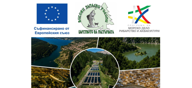 visoki_zapadni_rodopi_mirg_z.jpg