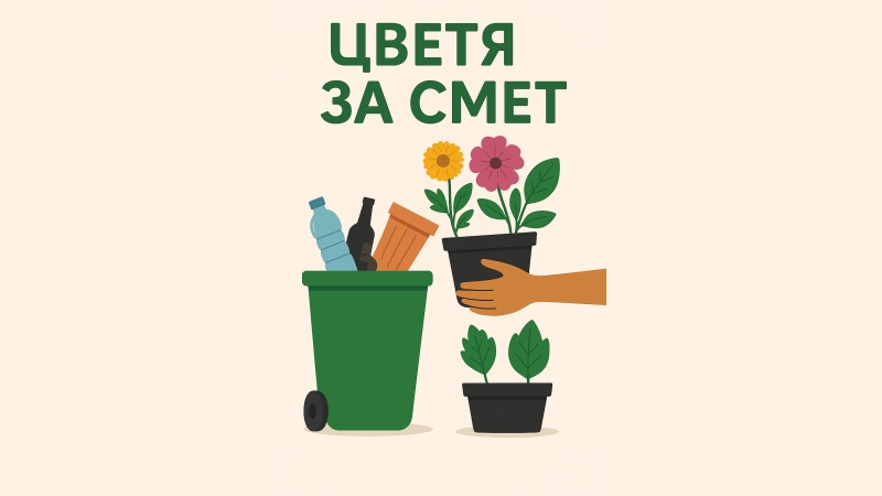 smet25.jpg