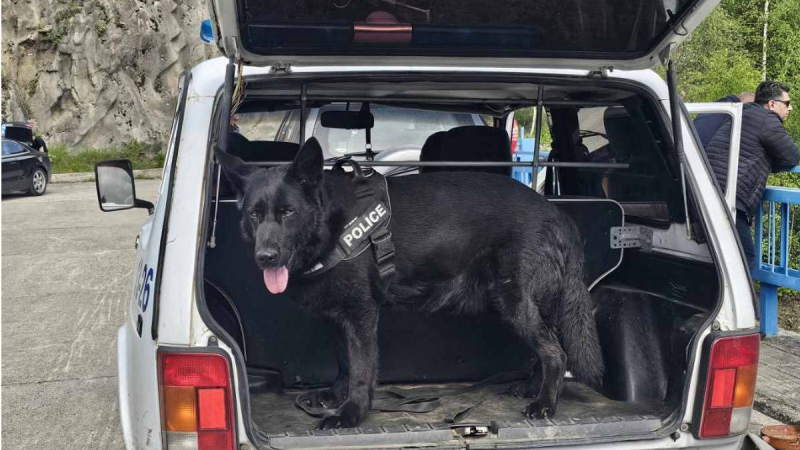 police_kuche_dog.jpg