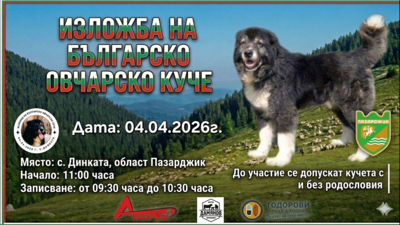 bg_ovcharsko_kuche_2026_03_06_14_48_42_306.jpg