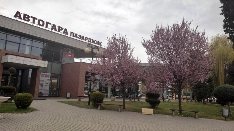 avtogarapz_20250327_100245.jpg