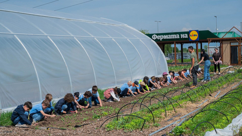 Lidl_Farm20260708.jpg