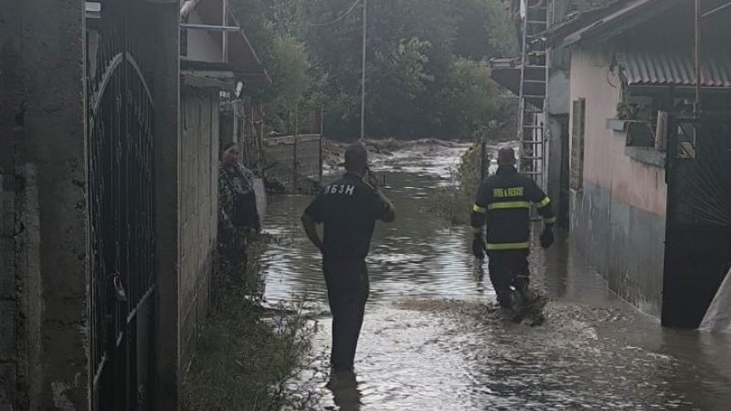 lukovitsa_2026_08_24.jpg