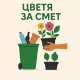 Повече събрани отпадъци и повече раздадени растения в тазгодишната кампания &#34;Цветя за смет&#34;